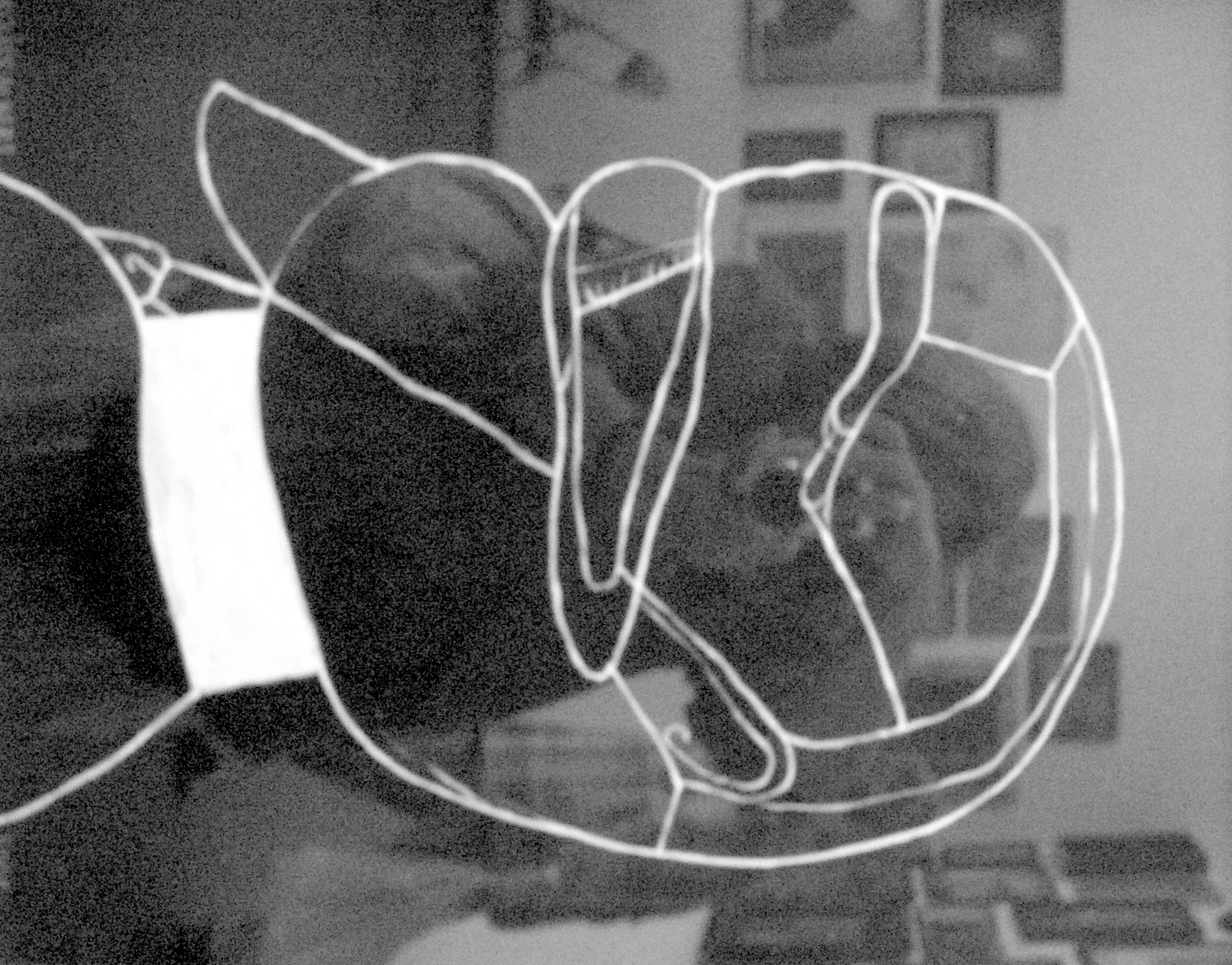 p8100025-1