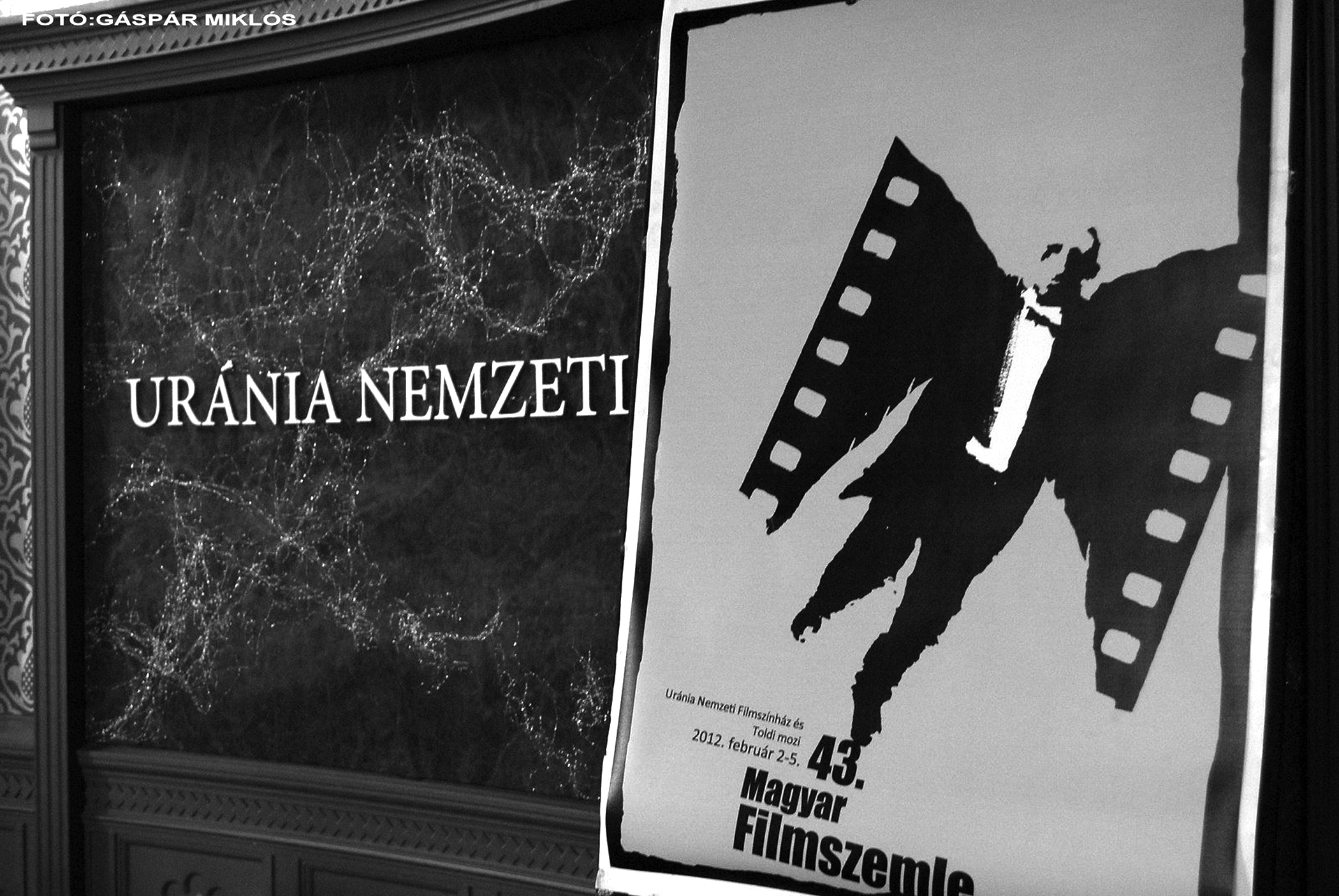 Filmszemle - 9
